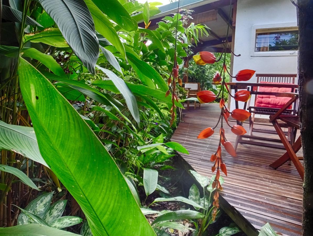 Вилла Le Parc Aux Orchidees Пуэнт-Нуар Экстерьер фото