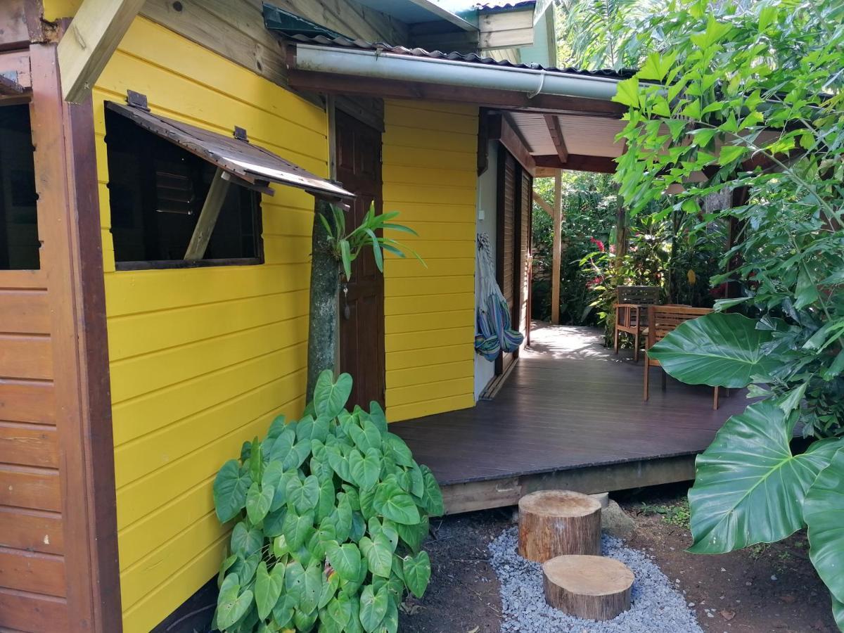 Вилла Le Parc Aux Orchidees Пуэнт-Нуар Экстерьер фото